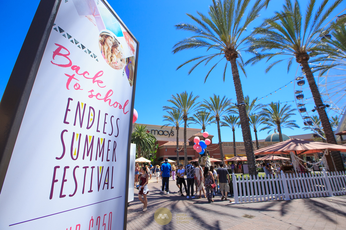 Endless Fun at the Endless Summer Festival