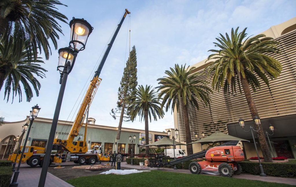 A crane lifts Fashion Island's 90-foot tall Christmas tree early November 1. The tree, from near Mt. Shasta in Northern California, will have approximately 20,000 ornaments and will be lit during a ceremony on November 18th and 19th at 6pm. (Photo by Mark Rightmire, ORANGE COUNTY REGISTER/SCNG)