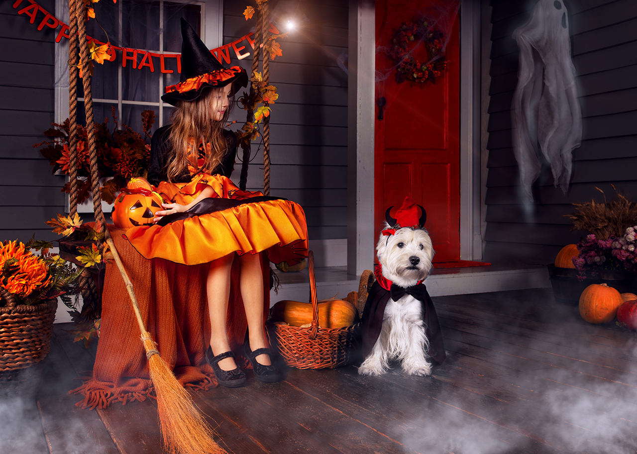 You and Your Pet’s Halloween Costumes